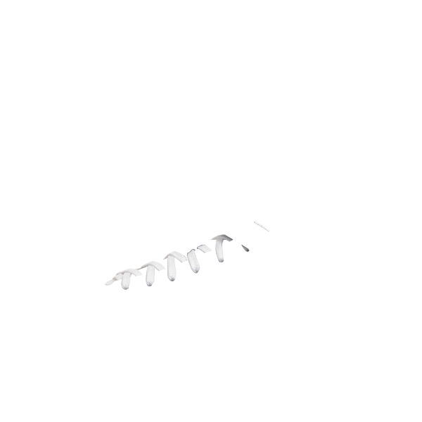 シューレースカラー