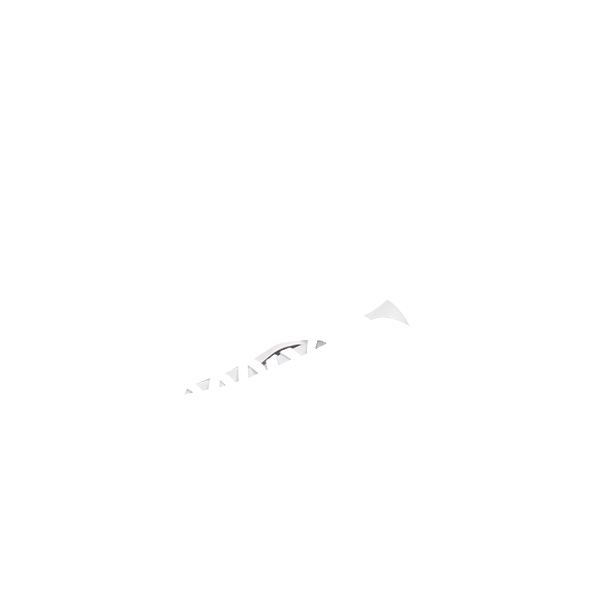 ベロカラー
