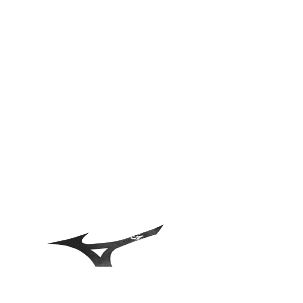 05:外側ラインカラー