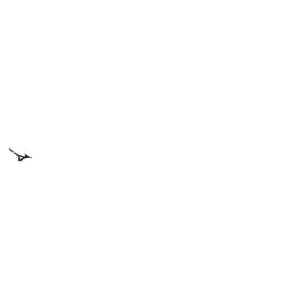 06:内側ラインカラー