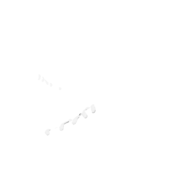 02:シューレースカラー