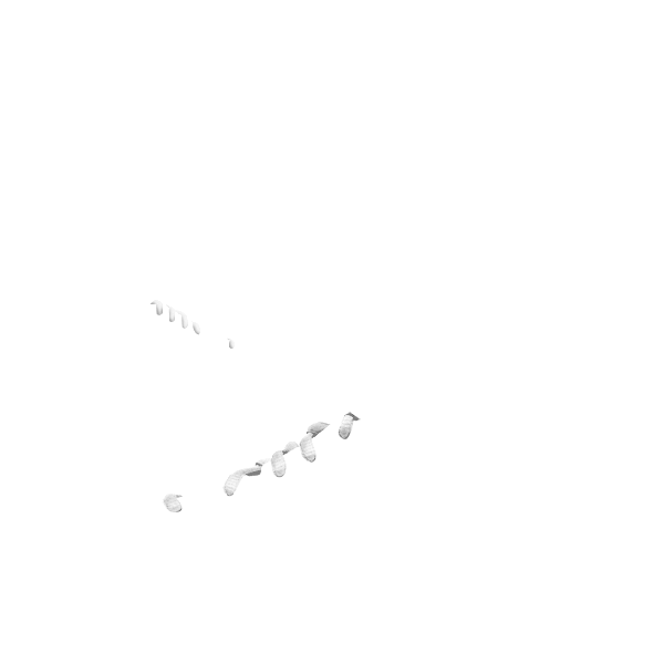 02:シューレースカラー