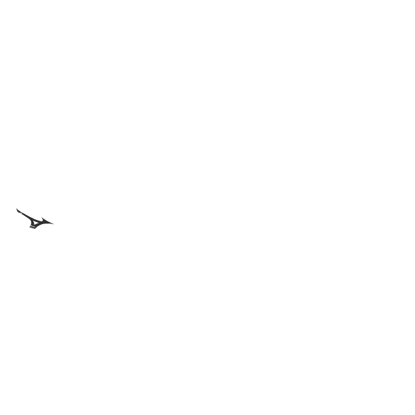 06:内側ラインカラー