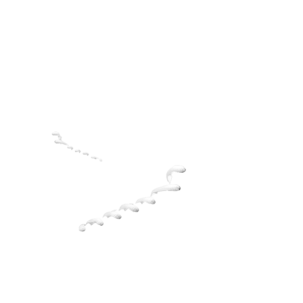 02：シューレースカラー