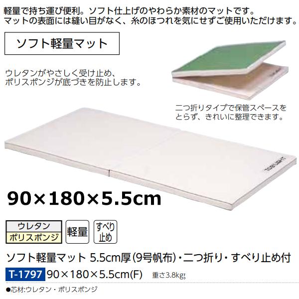 日本全国 送料無料 トーエイライト 合成スポンジマット 6cm厚 9号帆布 T-2612 120×300×6cm