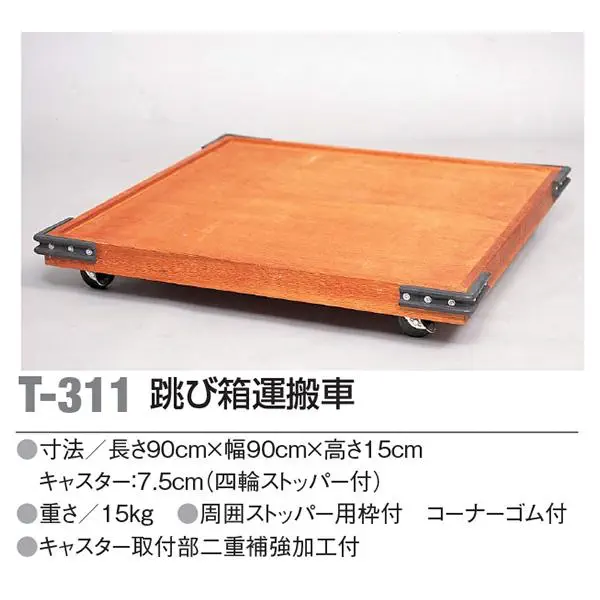T-311