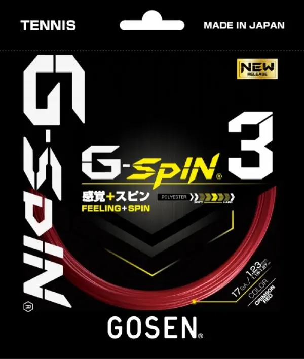 TSGS31