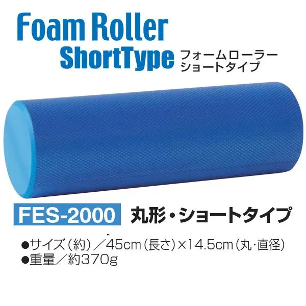 FES-2000