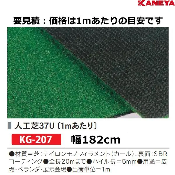 KG-207