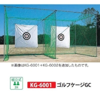 KG-6001