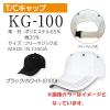 KG-100